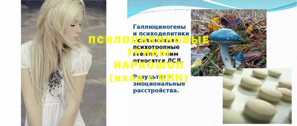 прущие грибы Волоколамск