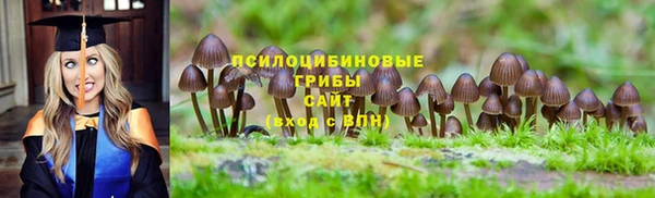 прущие грибы Волоколамск