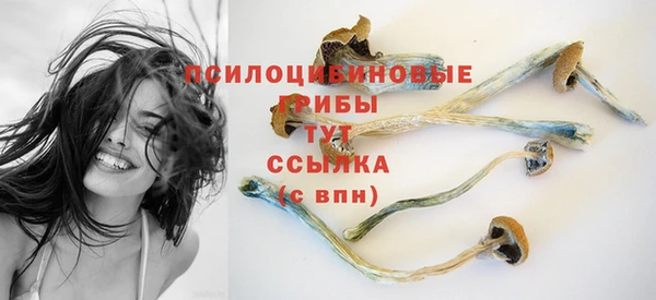 a pvp Вяземский