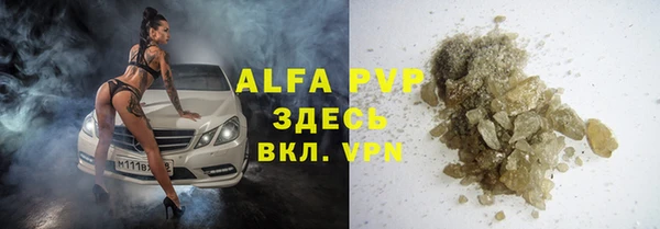 стаф Верея