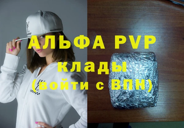 прущие грибы Волоколамск