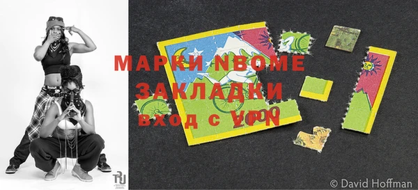 дмт Бородино