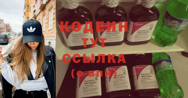 стаф Верея