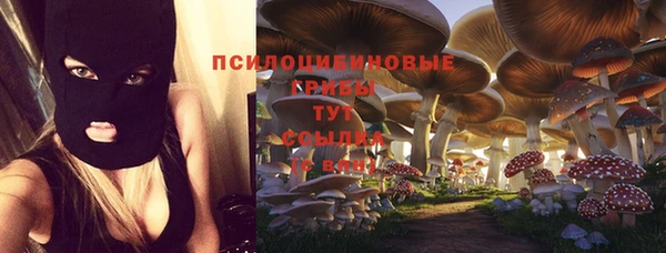 a pvp Вяземский